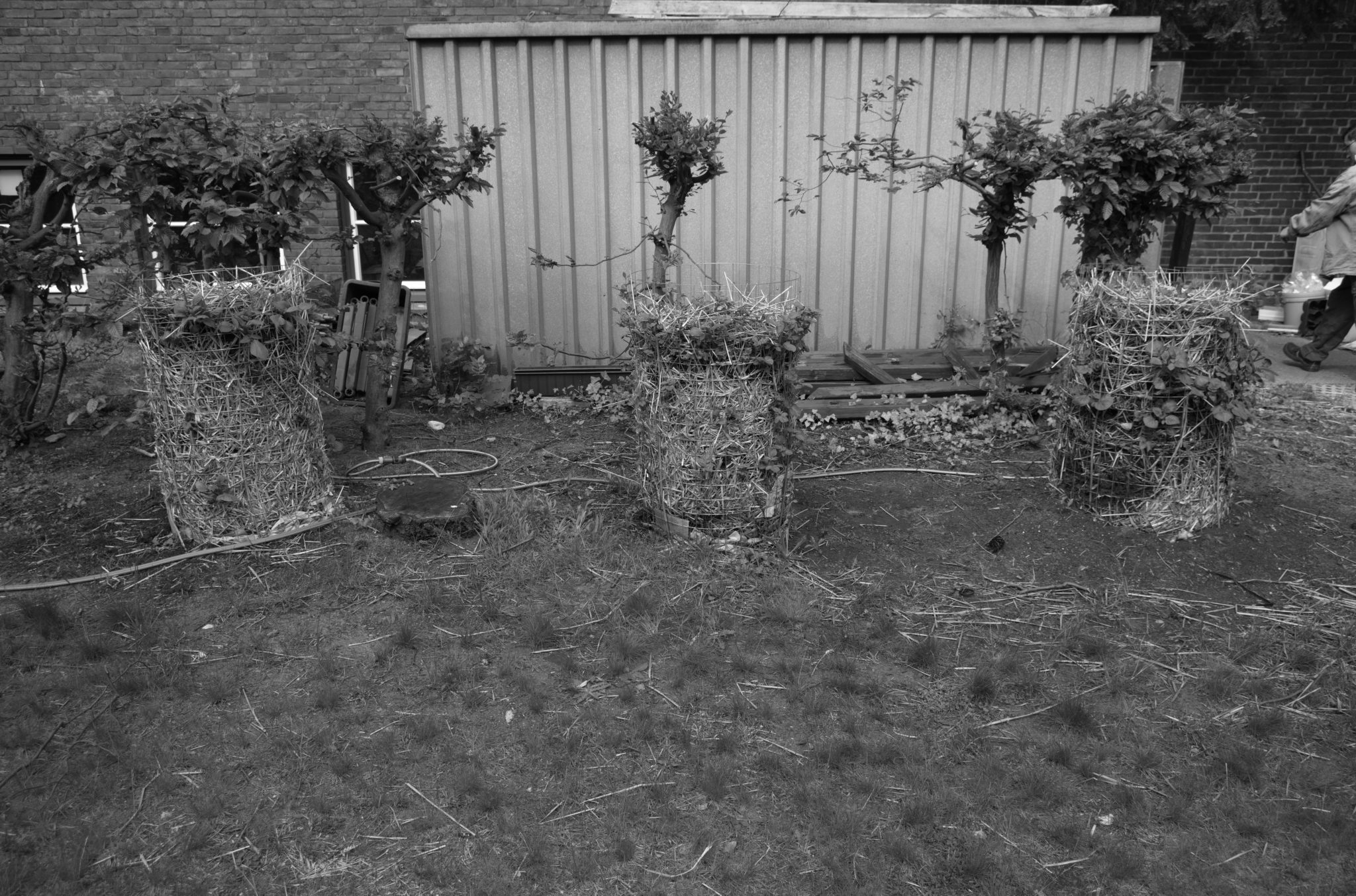 Grün(t)raum Heimfeld im Juni.